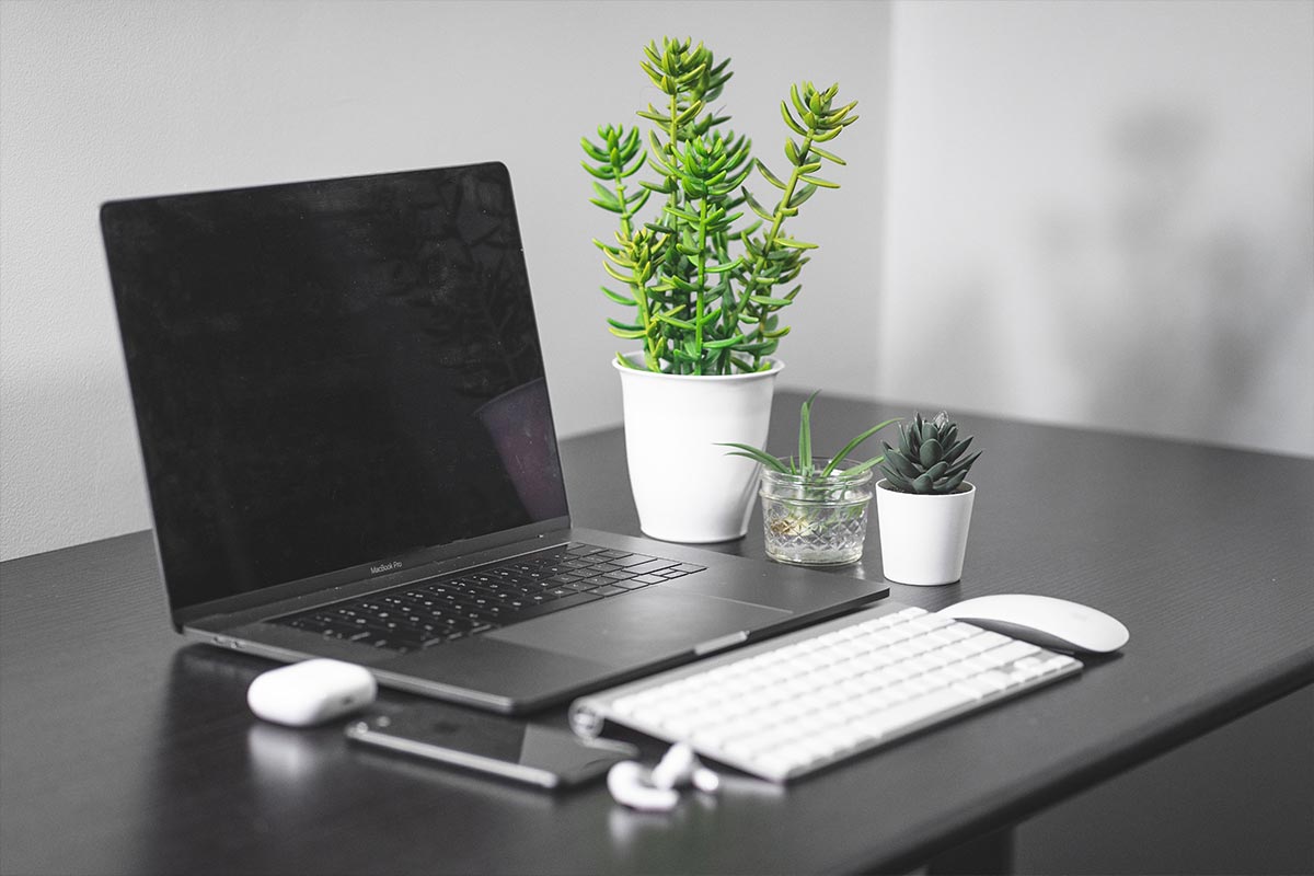 A budget desk setup with a laptop, books, and a plant home office ideas on a budget.